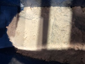 Dried Solids